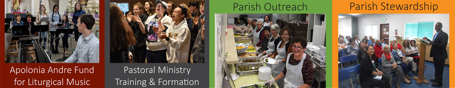 4 categories_examples_1500