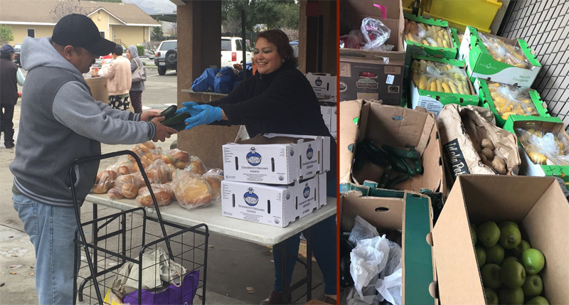 487 - OLG Food Distribution_4_800px