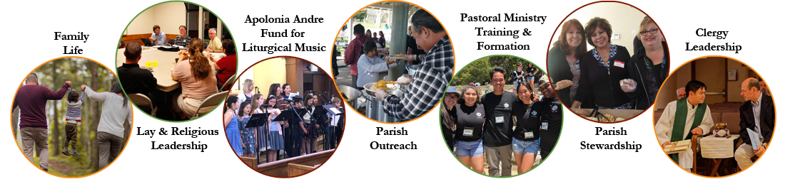 7-categories_examples1100