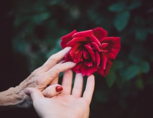 elderlyyounghandsflower-e1606339956738